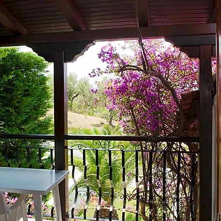 Anna Maria 3* Skiathos