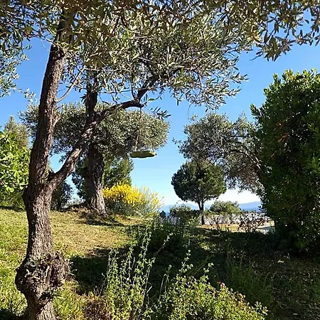 Anna Maria 3* Skiathos